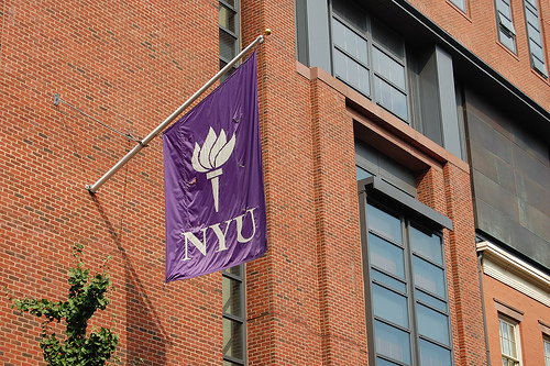 histoire new york university