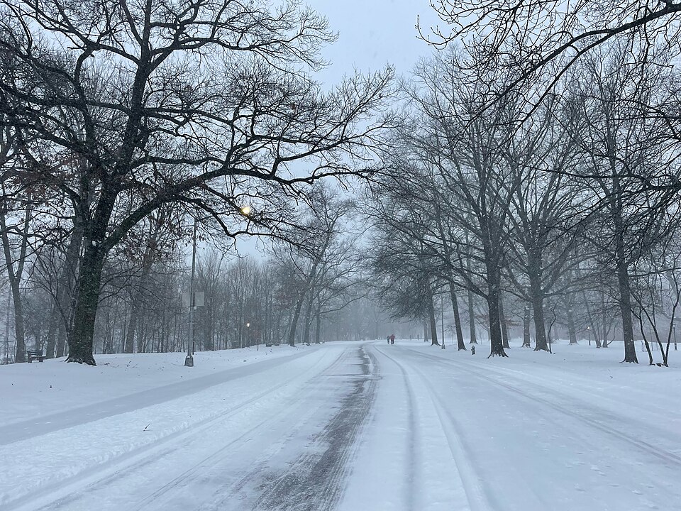 prospect park