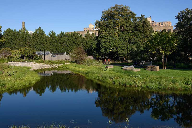 Brooklyn Botanic Garden New York Brooklyn Botanic Garden New York