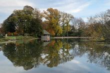 Automne New York